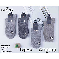 Чоловічі теплі термошкарпетки Ластівка B615 з ангорою (Angora Thermo), розмір 41-47 (10 пар в упаковці)