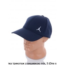 купити опт Бейсболка трикотажна  З вишивкою