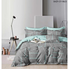 Новорічний Комплект Постілі НЕСТАНДАРТ 220×240/180×220 Бязь Пакистан Купити Оптом Opt7km