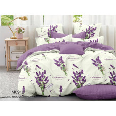 Новорічний Комплект Постілі НЕСТАНДАРТ 220×240/180×220 Бязь Пакистан Купити Оптом Opt7km