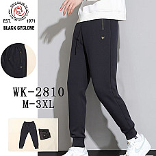 Чоловічі штани трикотажні, комфортний крій, розміри M–3XL, опт