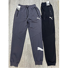 Штани спортивні чоловічі Puma норма (код A 011#) турецька 2-нитка пеньє S-2XL (ростовка 5 шт.)