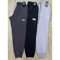 Штани спортивні чоловічі The North Face батал (код A-011-5#) турецька 2-нитка пеньє 2XL-6XL (ростовка 5 шт.