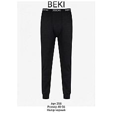 Чоловічі підштанники BEKI 258 (48-56) теплі 2-нитка з начісом