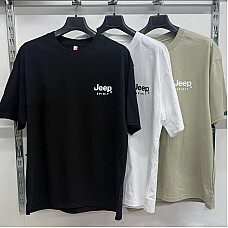Чоловіча футболка коттон Батал (2XL-4XL) — Опт