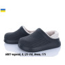 Голоши (43)