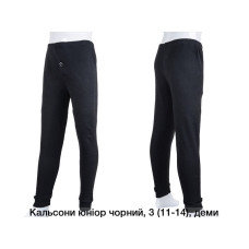 Мужские кальсоны демисезонные, чёрные. Размеры L–2XL (норма).