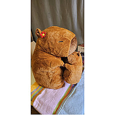 Іграшка + плед Розмір пледу 120×160 см Різні кольори оптом кабибара