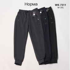 Чоловічі трикотажні штани WK-7311. Розміри M–3XL. Зручна модель з манжетами, кишені на блискавках, пояс на резинці. Упаковка 5 штук, один колір.