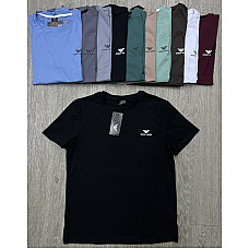 Чоловіча трикотажна футболка з принтом, асорті кольорів, розміри M-XXL, від 1 упаковки (5 шт.)