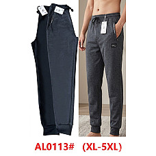 Чоловічі спортивні штани на манжетах AL0113# (XL, XXL, 3XL, 4XL, 5XL)
