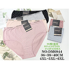 Жіночі бавовняні труси батал HNNA Ghlin Klines DM6844 (4XL, 5XL, 6XL)