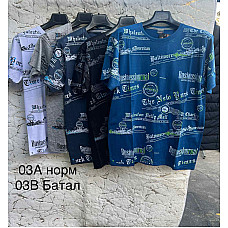 Футболка чоловіча , розміри XL-3XL, мікс кольорів, упаковка 5/10 шт., опт