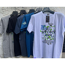 Футболка чоловіча , розміри XL-3XL, мікс кольорів, упаковка 5/10 шт., опт