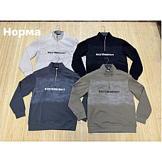 Чоловічий світшот норма двонитка з принтом  (L-4XL, Туреччина)