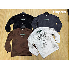 Чоловічий світшот норма двонитка з принтом  (L-4XL, Туреччина)