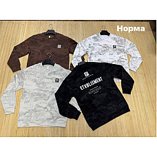 Чоловічий світшот норма двонитка з принтом  (L-4XL, Туреччина)