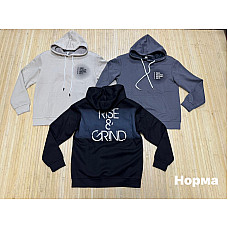 Чоловічий світшот норма двонитка з принтом  (L-4XL, Туреччина)
