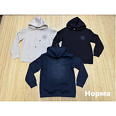 Чоловічий світшот норма двонитка з принтом  (L-4XL, Туреччина)