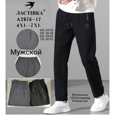 Чоловічі штани Ластівка A2076-17. Розміри 4XL–7XL (54–62). Зручні, еластичні, з кишенями на блискавці. Склад: 85% бавовна, 10% поліамід, 5% еластан.