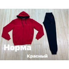 чоловічій костюм оптом норма Две нитки  осень Р-ры: M L IX IXX  4 шт. туреччіна гарна якість