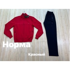 чоловічій костюм оптом норма Две нитки  осень Р-ры: M L IX IXX  4 шт. туреччіна гарна якість