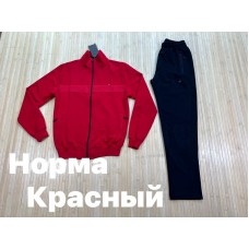 чоловічій костюм оптом норма Две нитки  осень Р-ры: M L IX IXX  4 шт. туреччіна гарна якість